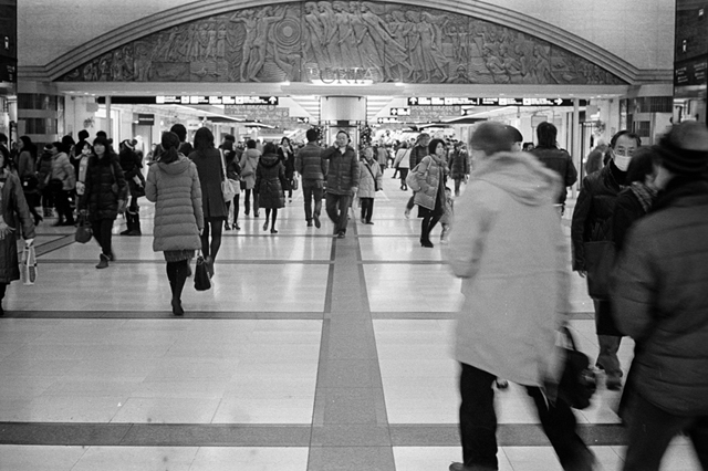 ���U���ʐ^�A���o�� f-2014.01.11Yokohama-M4-Summilux50mmF1.4-400TX-D76-080.jpg 2014.01.11<BR>���l<BR>M4 Summilux50mmF1.4<BR>400TX D76 1:1