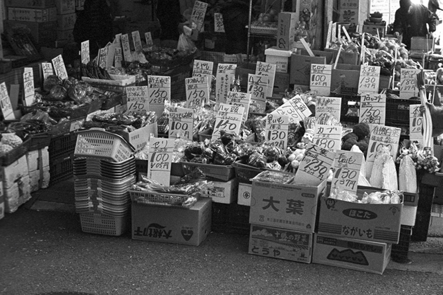 ���U���ʐ^�A���o�� f-2014.01.11Yokohama-M4-Summilux50mmF1.4-400TX-D76-081.jpg 2014.01.11<BR>���l<BR>M4 Summilux50mmF1.4<BR>400TX D76 1:1