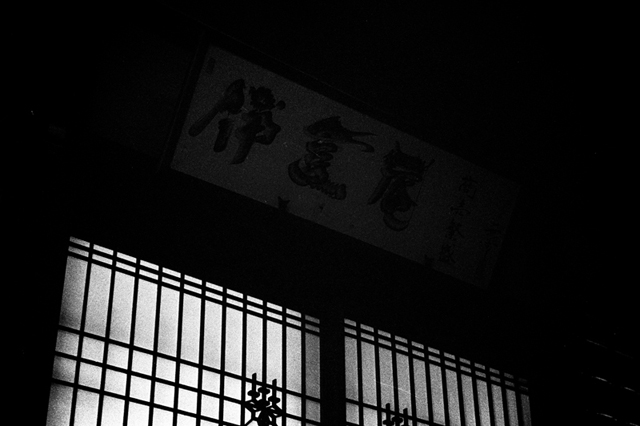 ���U���ʐ^�A���o�� f-2014.01.11Yokohama-M4-Summilux50mmF1.4-400TX-D76-082.jpg 2014.01.11<BR>���l<BR>M4 Summilux50mmF1.4<BR>400TX D76 1:1