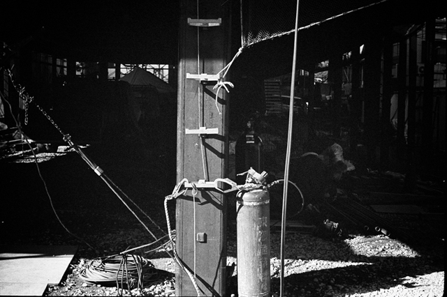 ���U���ʐ^�A���o�� f-2014.01.11Yokohama-M4-Summilux50mmF1.4-400TX-D76-083.jpg 2014.01.11<BR>���l<BR>M4 Summilux50mmF1.4<BR>400TX D76 1:1