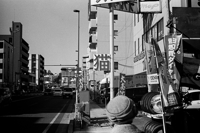 ���U���ʐ^�A���o�� f-2014.01.11Yokohama-M4-Summilux50mmF1.4-400TX-D76-086.jpg 2014.01.11<BR>���l<BR>M4 Summilux50mmF1.4<BR>400TX D76 1:1