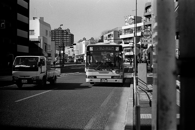 ���U���ʐ^�A���o�� f-2014.01.11Yokohama-M4-Summilux50mmF1.4-400TX-D76-090.jpg 2014.01.11<BR>���l<BR>M4 Summilux50mmF1.4<BR>400TX D76 1:1