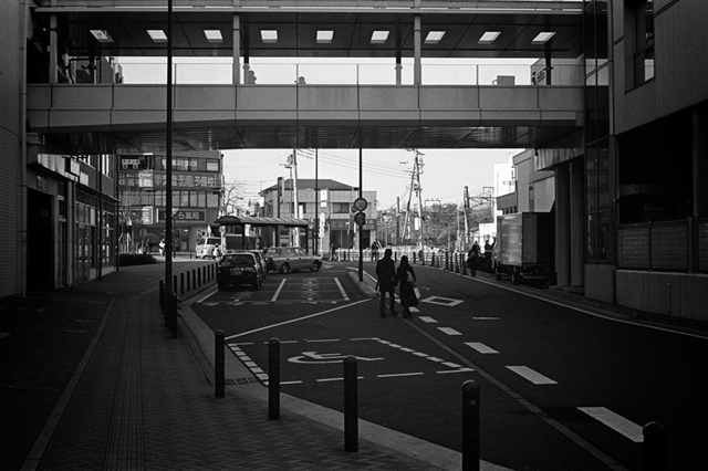 ���U���ʐ^�A���o�� f-2014.01.11Yokohama-M4-Summilux50mmF1.4-400TX-D76-091.jpg 2014.01.11<BR>���l<BR>M4 Summilux50mmF1.4<BR>400TX D76 1:1
