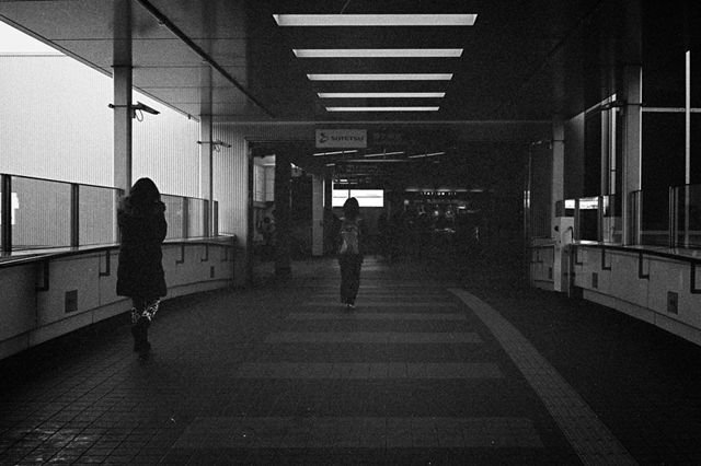 ���U���ʐ^�A���o�� f-2014.01.11Yokohama-M4-Summilux50mmF1.4-400TX-D76-092.jpg 2014.01.11<BR>���l<BR>M4 Summilux50mmF1.4<BR>400TX D76 1:1