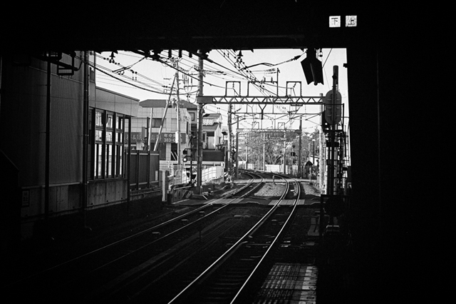 ���U���ʐ^�A���o�� f-2014.01.11Yokohama-M4-Summilux50mmF1.4-400TX-D76-094.jpg 2014.01.11<BR>���l<BR>M4 Summilux50mmF1.4<BR>400TX D76 1:1