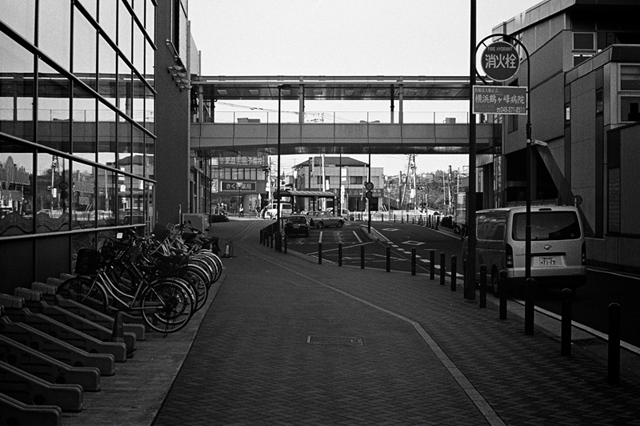 ���U���ʐ^�A���o�� f-2014.01.11Yokohama-M4-Summilux50mmF1.4-400TX-D76-096.jpg 2014.01.11<BR>���l<BR>M4 Summilux50mmF1.4<BR>400TX D76 1:1