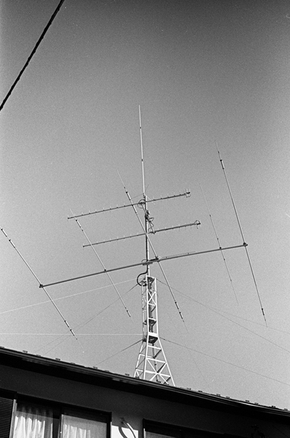 ���U���ʐ^�A���o�� f-2014.01.11Yokohama-M4-Summilux50mmF1.4-400TX-D76-097.jpg 2014.01.11<BR>���l<BR>M4 Summilux50mmF1.4<BR>400TX D76 1:1