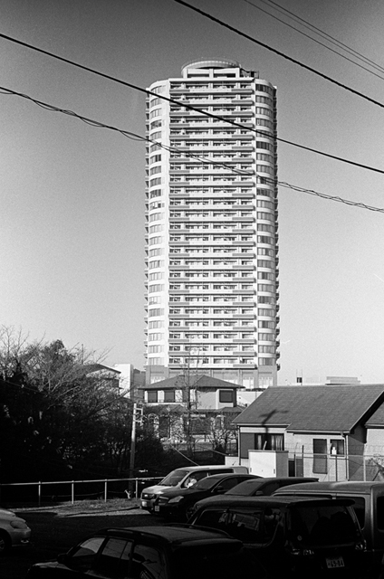 ���U���ʐ^�A���o�� f-2014.01.11Yokohama-M4-Summilux50mmF1.4-400TX-D76-099.jpg 2014.01.11<BR>���l<BR>M4 Summilux50mmF1.4<BR>400TX D76 1:1