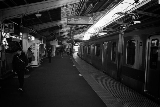 ���U���ʐ^�A���o�� f-2014.01.13Yokohama-M4-Summilux35mmF1.4-PRESTO400-D76-undiluted-006.jpg 2014.01.13<BR>���l<BR>M4 Summilux35mmF1.4<BR>PRESTO400 D76 undiluted