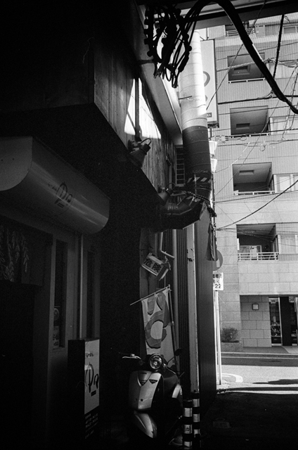 ���U���ʐ^�A���o�� f-2014.01.13Yokohama-M4-Summilux35mmF1.4-PRESTO400-D76-undiluted-047.jpg 2014.01.13<BR>���l<BR>M4 Summilux35mmF1.4<BR>PRESTO400 D76 undiluted