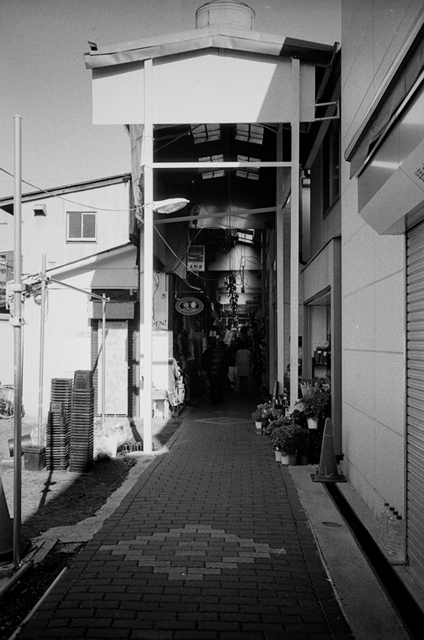 ���U���ʐ^�A���o�� f-2014.01.13Yokohama-M4-Summilux35mmF1.4-PRESTO400-D76-undiluted-049.jpg 2014.01.13<BR>���l<BR>M4 Summilux35mmF1.4<BR>PRESTO400 D76 undiluted