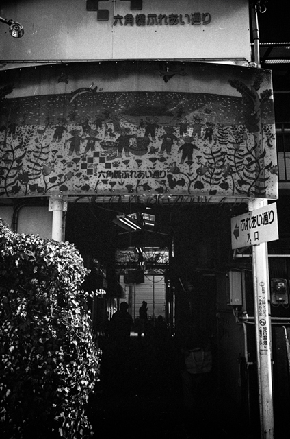 ���U���ʐ^�A���o�� f-2014.01.13Yokohama-M4-Summilux35mmF1.4-PRESTO400-D76-undiluted-075.jpg 2014.01.13<BR>���l<BR>M4 Summilux35mmF1.4<BR>PRESTO400 D76 undiluted