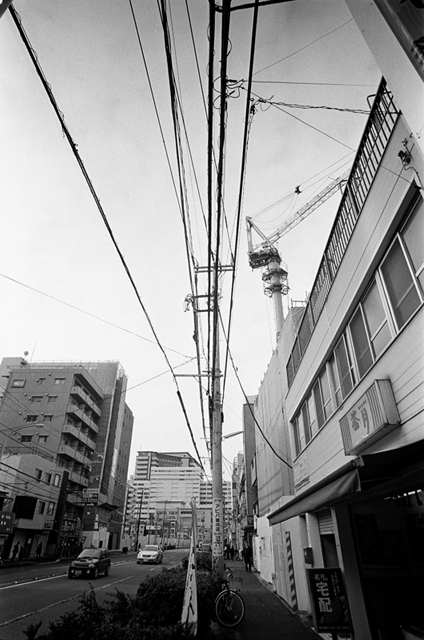 ���U���ʐ^�A���o�� f-2014.01.26Yokohama-M3-Elmarit21mmF2.8ASPH-400TX-D76-undiluted-29.jpg 2014.01.26<BR>���l<BR>M3 Elmarit21mmF2.8ASPH<BR>400TX D76 undiluted