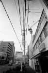 ���U���ʐ^�A���o�� 2014.01.26Yokohama M3 Elmarit21mmF2.8ASPH 400TX D76 undiluted 29 2014.01.26 ���l M3 Elmarit21mmF2.8ASPH 400TX D76 undiluted