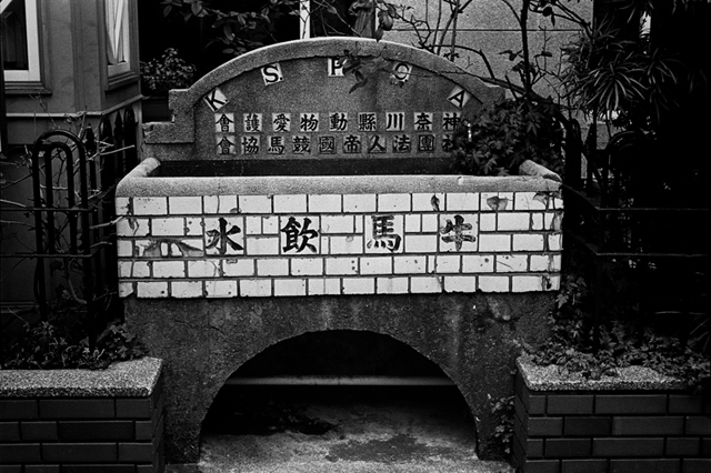 ���U���ʐ^�A���o�� f-2014.02.23Yokohama-F2T-Ai50mmF1.8S-400TX-D76-undiluted-039.jpg 2014.02.23<BR>���l<BR>F2T-AS Ai50mmF1.8S<BR>400TX D76 undiluted