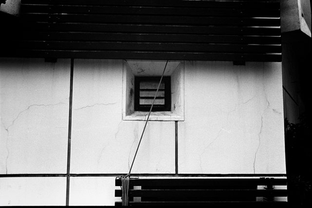 ���U���ʐ^�A���o�� f-2014.02.23Yokohama-F2T-Ai50mmF1.8S-400TX-D76-undiluted-041.jpg 2014.02.23<BR>���l<BR>F2T-AS Ai50mmF1.8S<BR>400TX D76 undiluted
