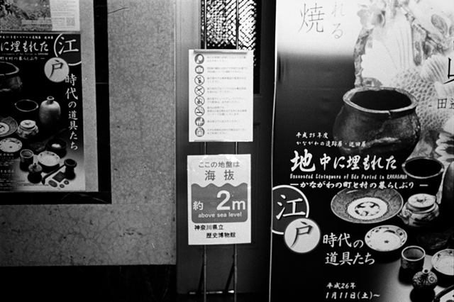 ���U���ʐ^�A���o�� f-2014.02.23Yokohama-F2T-Ai50mmF1.8S-400TX-D76-undiluted-060.jpg 2014.02.23<BR>���l<BR>F2T-AS Ai50mmF1.8S<BR>400TX D76 undiluted