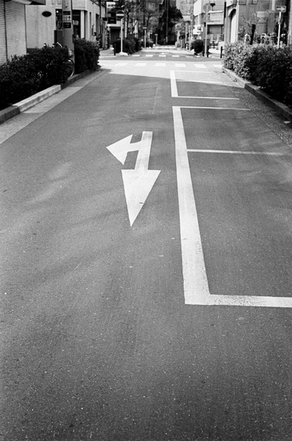 ���U���ʐ^�A���o�� f-2014.02.23Yokohama-F2T-Ai50mmF1.8S-400TX-D76-undiluted-069.jpg 2014.02.23<BR>���l<BR>F2T-AS Ai50mmF1.8S<BR>400TX D76 undiluted