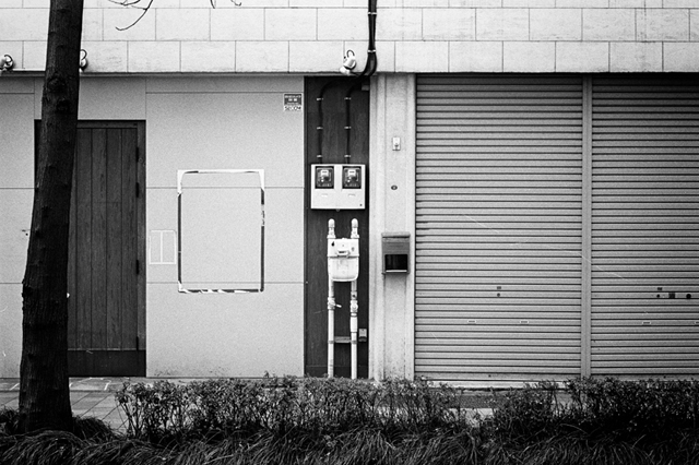 ���U���ʐ^�A���o�� f-2014.02.23Yokohama-F2T-Ai50mmF1.8S-400TX-D76-undiluted-092.jpg 2014.02.23<BR>���l<BR>F2T-AS Ai50mmF1.8S<BR>400TX D76 undiluted