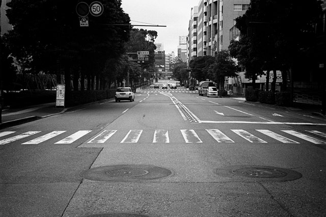 ���U���ʐ^�A���o�� f-2014.02.23Yokohama-F2T-Ai50mmF1.8S-400TX-D76-undiluted-096.jpg 2014.02.23<BR>���l<BR>F2T-AS Ai50mmF1.8S<BR>400TX D76 undiluted