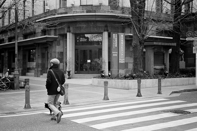 ���U���ʐ^�A���o�� f-2014.02.23Yokohama-F2T-Ai50mmF1.8S-400TX-D76-undiluted-097.jpg 2014.02.23<BR>���l<BR>F2T-AS Ai50mmF1.8S<BR>400TX D76 undiluted