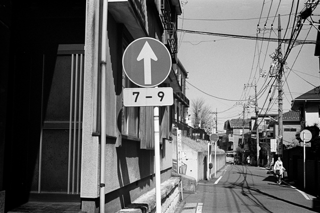 ���U���ʐ^�A���o�� f-2014.03.08Yokohama-M3-Summicron50mmF2-400TX-D76-undiluted-35.jpg 2014.03.08<BR>���l<BR>M3 Summicron50mmF2<BR>400TX D76 undiluted