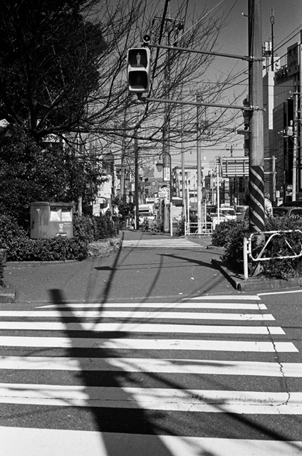 ���U���ʐ^�A���o�� f-2014.03.08Yokohama-M3-Summicron50mmF2-400TX-D76-undiluted-38.jpg 2014.03.08<BR>���l<BR>M3 Summicron50mmF2<BR>400TX D76 undiluted