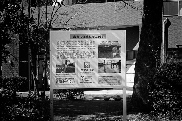 ���U���ʐ^�A���o�� f-2014.03.08Yokohama-M3-Summicron50mmF2-400TX-D76-undiluted-42.jpg 2014.03.08<BR>���l<BR>M3 Summicron50mmF2<BR>400TX D76 undiluted