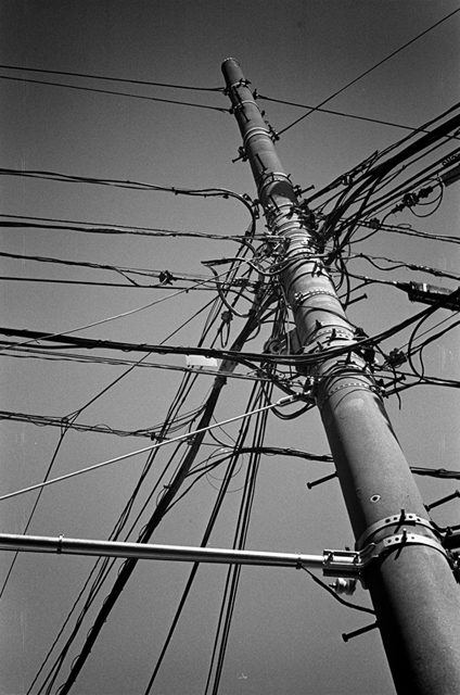 ���U���ʐ^�A���o�� f-2014.03.08Yokohama-M3-Summicron50mmF2-400TX-D76-undiluted-43.jpg 2014.03.08<BR>���l<BR>M3 Summicron50mmF2<BR>400TX D76 undiluted