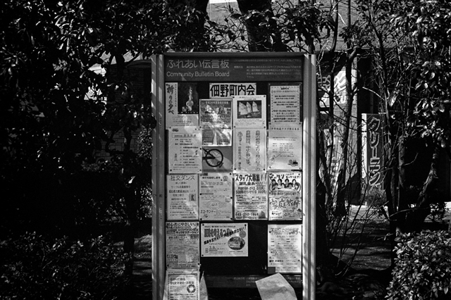 ���U���ʐ^�A���o�� f-2014.03.08Yokohama-M3-Summicron50mmF2-400TX-D76-undiluted-44.jpg 2014.03.08<BR>���l<BR>M3 Summicron50mmF2<BR>400TX D76 undiluted