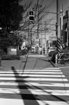 ���U���ʐ^�A���o�� 2014.03.08Yokohama M3 Summicron50mmF2 400TX D76 undiluted 38 2014.03.08 ���l M3 Summicron50mmF2 400TX D76 undiluted