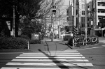 ���U���ʐ^�A���o�� 2014.03.08Yokohama M3 Summicron50mmF2 400TX D76 undiluted 40 2014.03.08 ���l M3 Summicron50mmF2 400TX D76 undiluted
