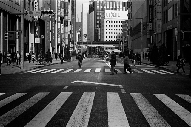 ���U���ʐ^�A���o�� f-2014.03.09Tokyo-M3-Summicron50mmF2-400TX-D76-undiluted-44.jpg 2014.03.09<BR>����<BR>M3 Summicron50mmF2<BR>400TX D76 undiluted
