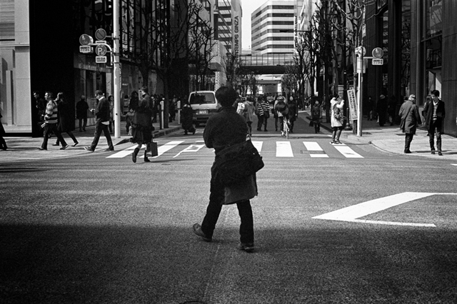 ���U���ʐ^�A���o�� f-2014.03.09Tokyo-M3-Summicron50mmF2-400TX-D76-undiluted-50.jpg 2014.03.09<BR>����<BR>M3 Summicron50mmF2<BR>400TX D76 undiluted
