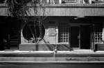 ���U���ʐ^�A���o�� 2014.03.09Tokyo M3 Summicron50mmF2 400TX D76 undiluted 28 2014.03.09 ���� M3 Summicron50mmF2 400TX D76 undiluted