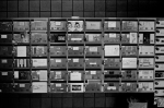 ���U���ʐ^�A���o�� 2014.03.09Tokyo M3 Summicron50mmF2 400TX D76 undiluted 33 2014.03.09 ���� M3 Summicron50mmF2 400TX D76 undiluted