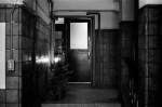 ���U���ʐ^�A���o�� 2014.03.09Tokyo M3 Summicron50mmF2 400TX D76 undiluted 35 2014.03.09 ���� M3 Summicron50mmF2 400TX D76 undiluted