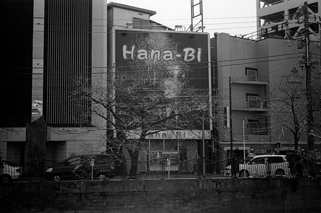 ���U���ʐ^�A���o�� f-2014.03.16Yokohama-M3-Summicron50mmF2Rigid-400TX-D76-undiluted-031.jpg 2014.03.16<BR>���l<BR>M3 Summicron50mmF2Rigid<BR>400TX D76 undiluted