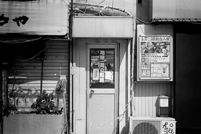 ���U���ʐ^�A���o�� f-2014.03.16Yokohama-M3-Summicron50mmF2Rigid-400TX-D76-undiluted-032.jpg 2014.03.16<BR>���l<BR>M3 Summicron50mmF2Rigid<BR>400TX D76 undiluted