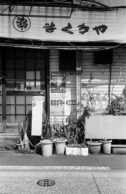 ���U���ʐ^�A���o�� f-2014.03.16Yokohama-M3-Summicron50mmF2Rigid-400TX-D76-undiluted-033.jpg 2014.03.16<BR>���l<BR>M3 Summicron50mmF2Rigid<BR>400TX D76 undiluted