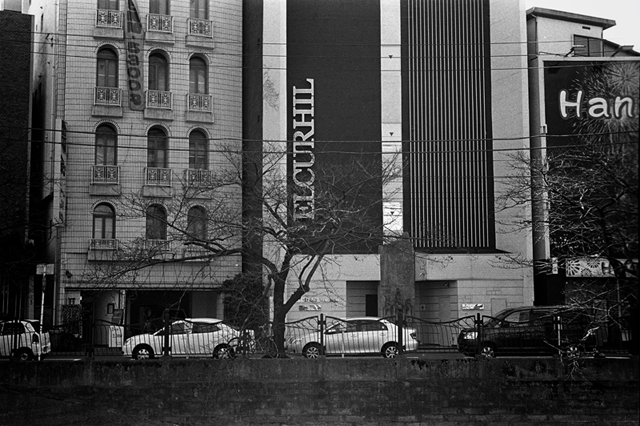 ���U���ʐ^�A���o�� f-2014.03.16Yokohama-M3-Summicron50mmF2Rigid-400TX-D76-undiluted-035.jpg 2014.03.16<BR>���l<BR>M3 Summicron50mmF2Rigid<BR>400TX D76 undiluted