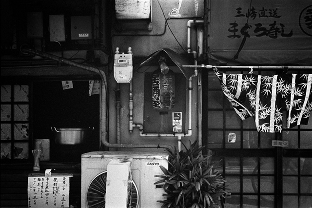 ���U���ʐ^�A���o�� f-2014.03.16Yokohama-M3-Summicron50mmF2Rigid-400TX-D76-undiluted-041.jpg 2014.03.16<BR>���l<BR>M3 Summicron50mmF2Rigid<BR>400TX D76 undiluted