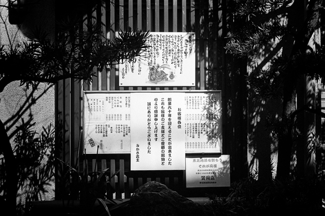 ���U���ʐ^�A���o�� f-2014.03.16Yokohama-M3-Summicron50mmF2Rigid-400TX-D76-undiluted-046.jpg 2014.03.16<BR>���l<BR>M3 Summicron50mmF2Rigid<BR>400TX D76 undiluted
