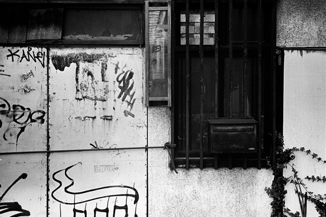���U���ʐ^�A���o�� f-2014.03.16Yokohama-M3-Summicron50mmF2Rigid-400TX-D76-undiluted-053.jpg 2014.03.16<BR>���l<BR>M3 Summicron50mmF2Rigid<BR>400TX D76 undiluted