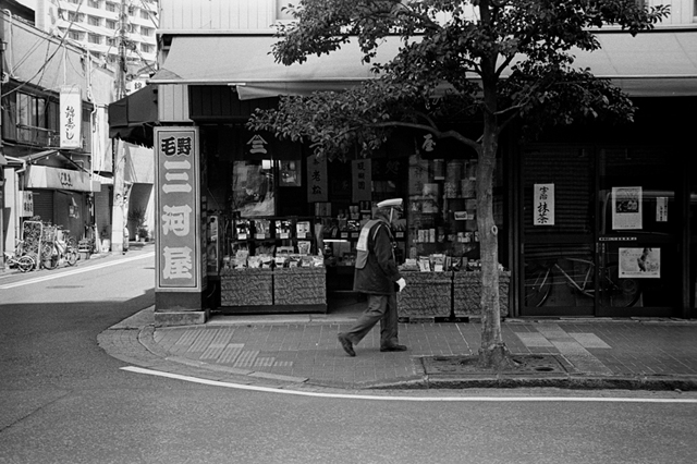 ���U���ʐ^�A���o�� f-2014.03.16Yokohama-M3-Summicron50mmF2Rigid-400TX-D76-undiluted-059.jpg 2014.03.16<BR>���l<BR>M3 Summicron50mmF2Rigid<BR>400TX D76 undiluted