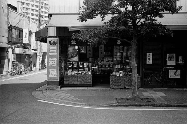 ���U���ʐ^�A���o�� f-2014.03.16Yokohama-M3-Summicron50mmF2Rigid-400TX-D76-undiluted-060.jpg 2014.03.16<BR>���l<BR>M3 Summicron50mmF2Rigid<BR>400TX D76 undiluted