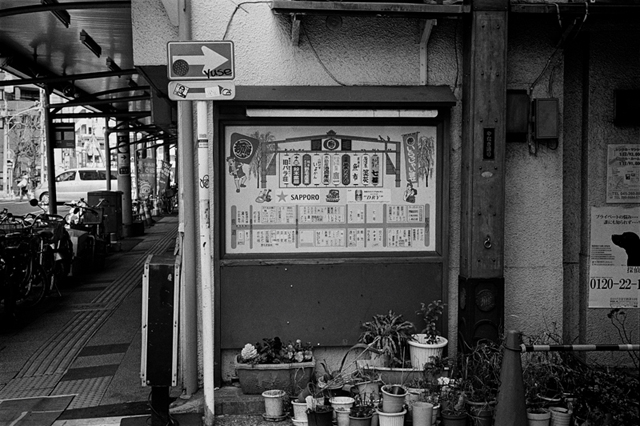 ���U���ʐ^�A���o�� f-2014.03.16Yokohama-M3-Summicron50mmF2Rigid-400TX-D76-undiluted-061.jpg 2014.03.16<BR>���l<BR>M3 Summicron50mmF2Rigid<BR>400TX D76 undiluted