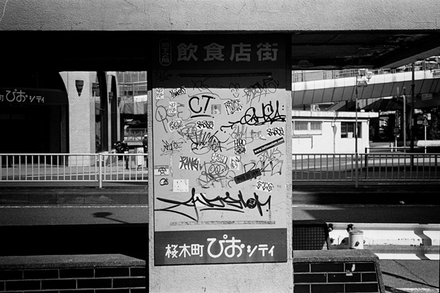 ���U���ʐ^�A���o�� f-2014.03.16Yokohama-M3-Summicron50mmF2Rigid-400TX-D76-undiluted-084.jpg 2014.03.16<BR>���l<BR>M3 Summicron50mmF2Rigid<BR>400TX D76 undiluted