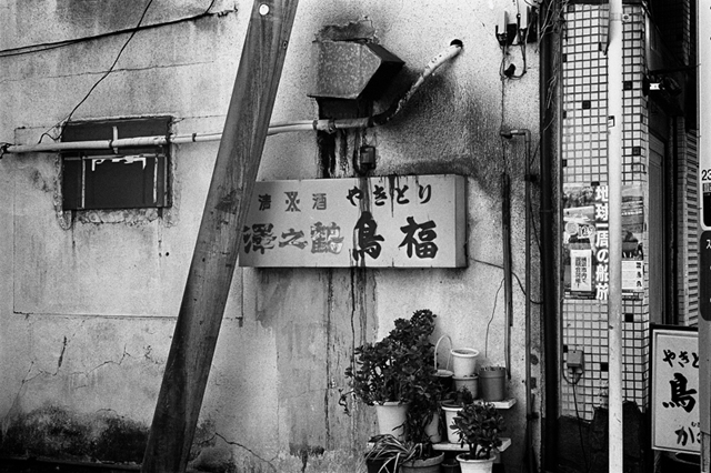���U���ʐ^�A���o�� f-2014.03.16Yokohama-M3-Summicron50mmF2Rigid-400TX-D76-undiluted-090.jpg 2014.03.16<BR>���l<BR>M3 Summicron50mmF2Rigid<BR>400TX D76 undiluted
