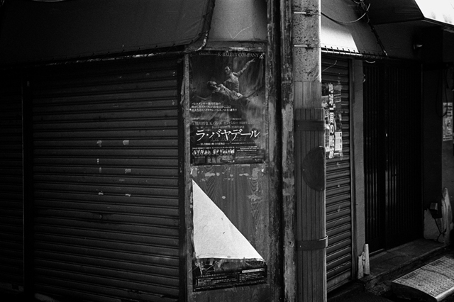 ���U���ʐ^�A���o�� f-2014.03.16Yokohama-M3-Summicron50mmF2Rigid-400TX-D76-undiluted-097.jpg 2014.03.16<BR>���l<BR>M3 Summicron50mmF2Rigid<BR>400TX D76 undiluted